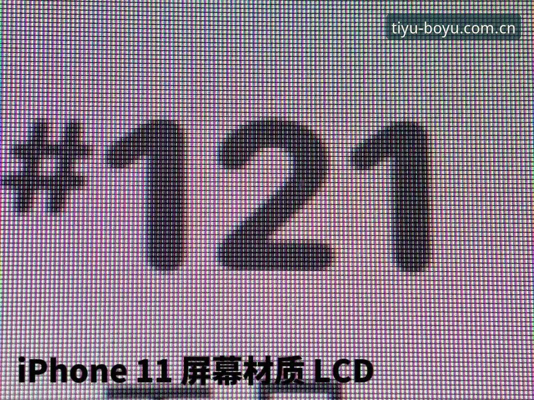 博鱼体育APP与同类平台选择对比：老用户真实体验告诉你哪个更值得信赖